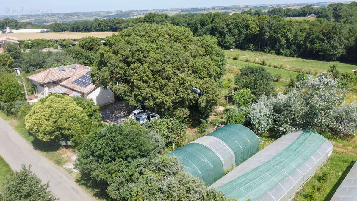 Maison à TERREBASSE