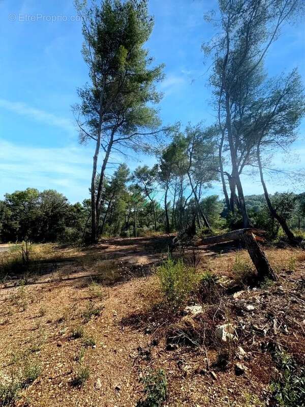 Terrain à ROQUEFORT-LES-PINS