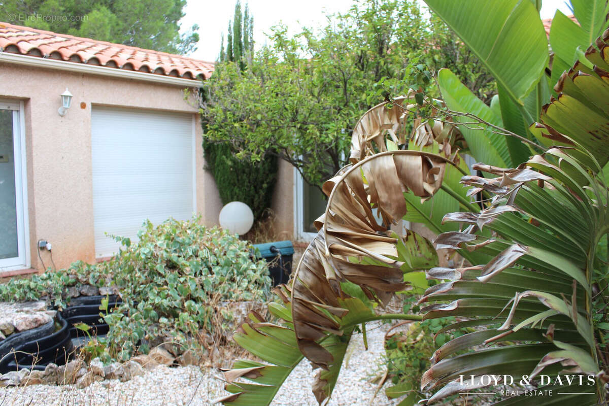 Maison à CASES-DE-PENE