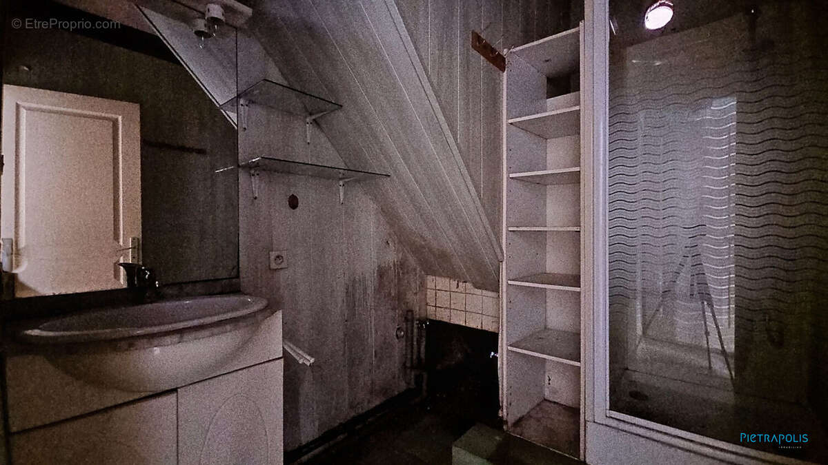 Maison à LES ROCHES-DE-CONDRIEU