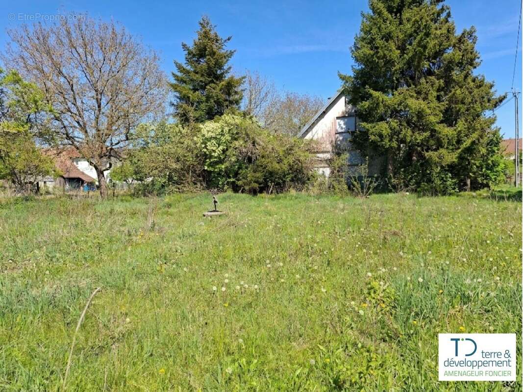 Terrain de 430 m² à steinbrunn-le-haut (haut-rhin) - photo 4