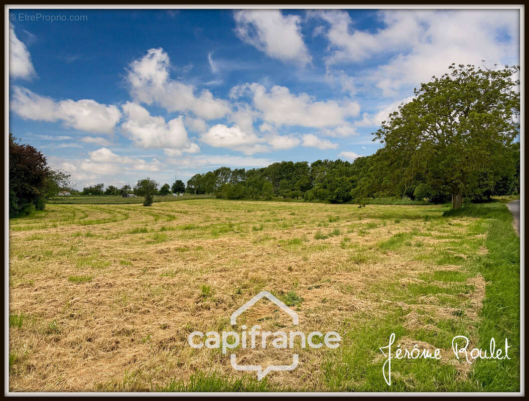 Maison en pierre à vendre 5 pièces 3 chambres Dépendances Terrain 1,5 ha Champigny-En-Rochereau (86) - photo 32