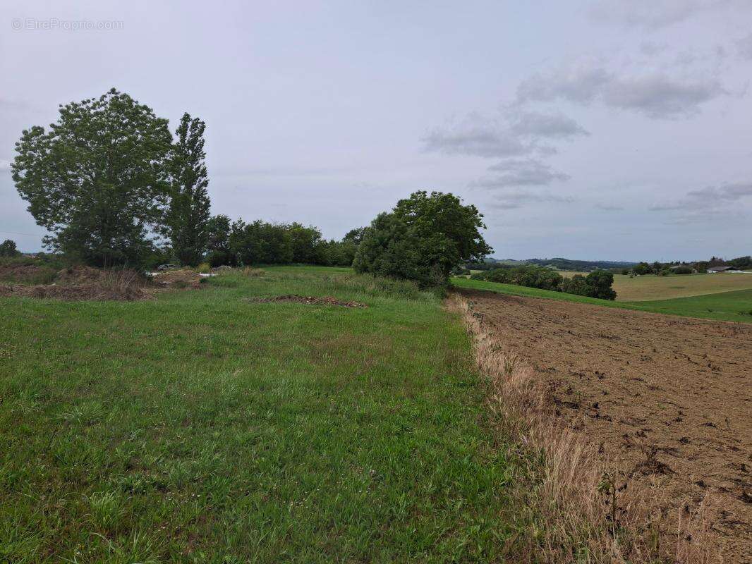 Terrain À Vendre - photo 4