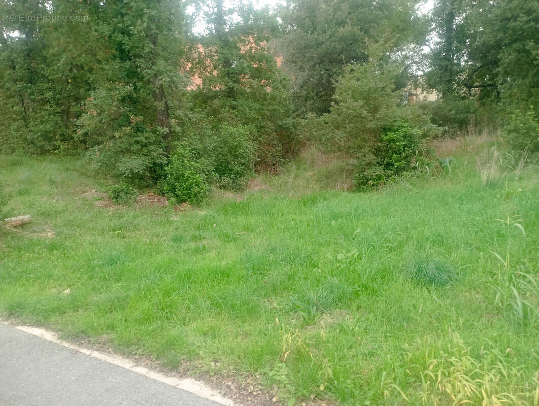 Terrain à BAGNOLS-SUR-CEZE