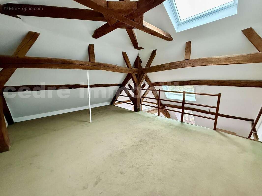 IMG_3499 - Appartement à ORLEANS