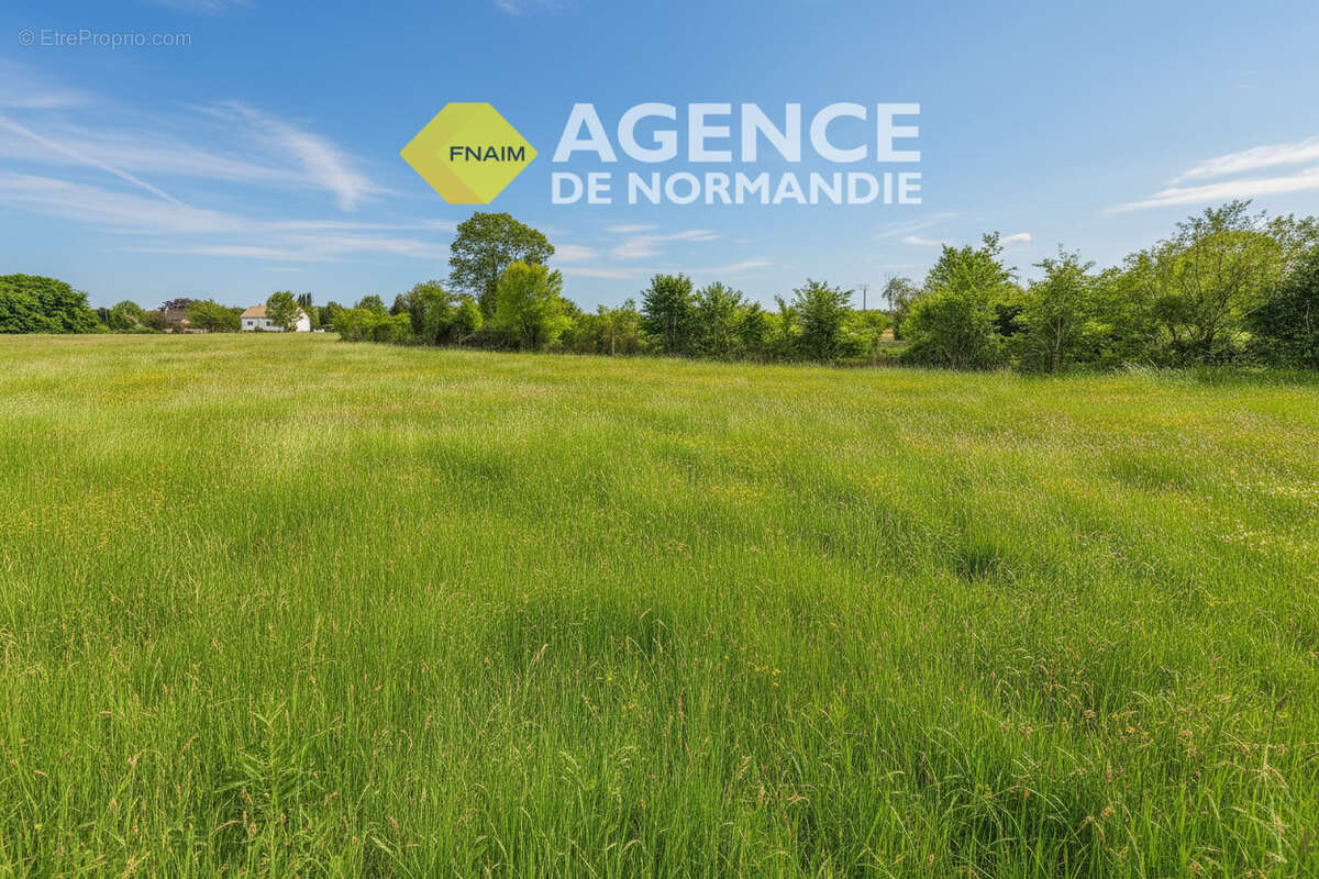 Terrain à MONTREUIL-L&#039;ARGILLE