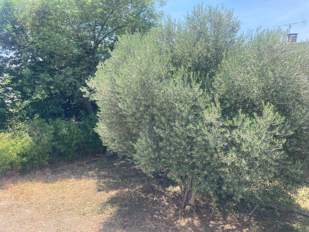 Axe Carcassonne Limoux, dans village, maison avec jardin, 4 chambres,  garage, et piscine intérieure. - photo 18