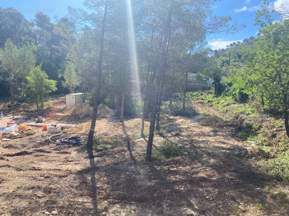 Terrain à BRIGNOLES