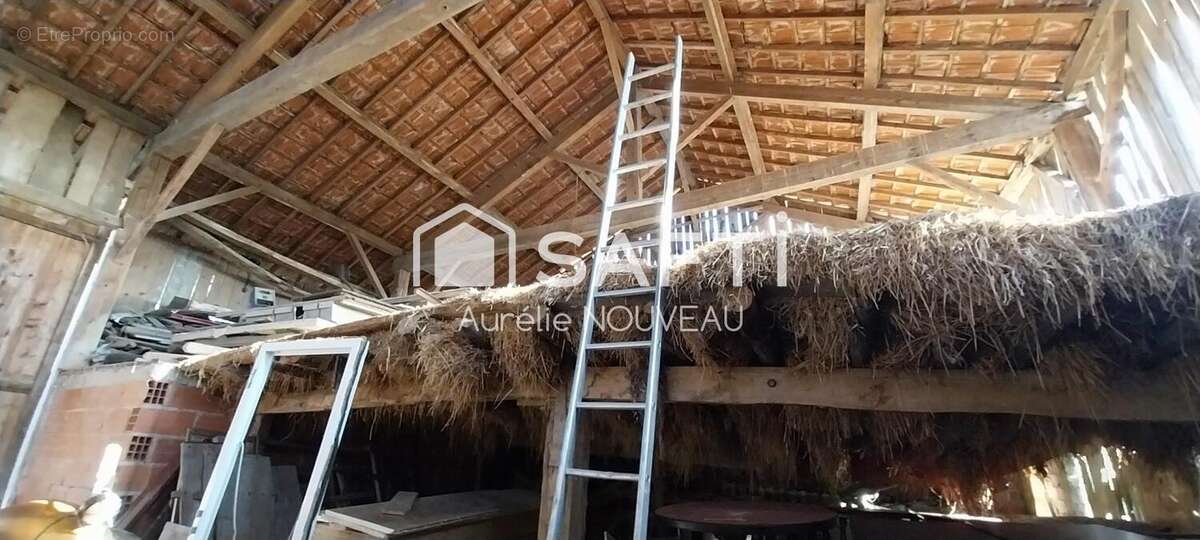 Photo 2 - Maison à SAINT-CLEMENT-DE-REGNAT