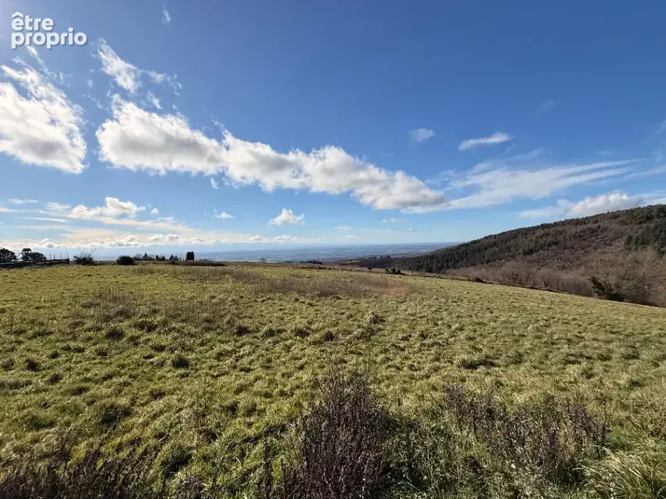 Terrain 2 600 m² à vendre à Les Brunels (11400) - photo 2