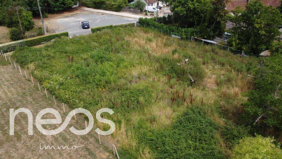 Terrain 1079 m² à Sainte-Thorette  - photo 6