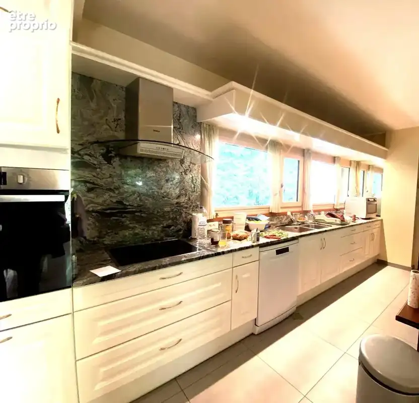 ANNEMASSE belle villa contemporaine - photo 2