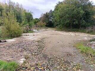 Commerce à FEUQUIERES-EN-VIMEU