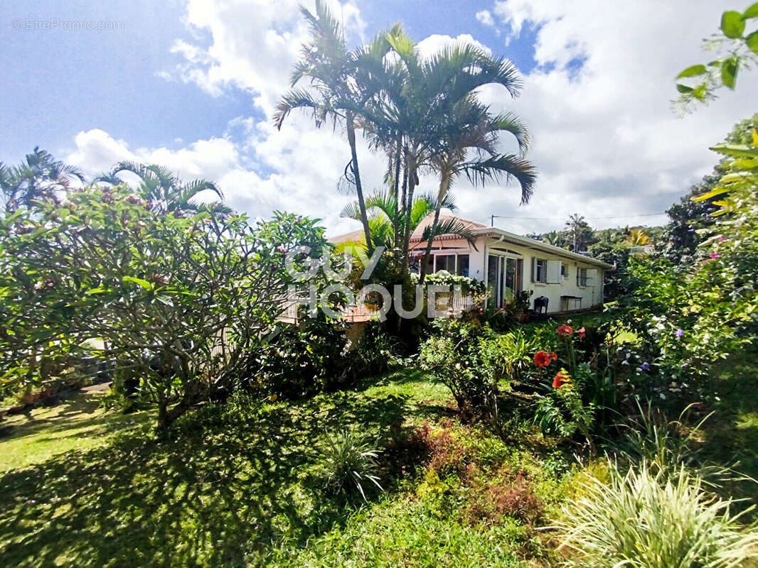 Maison à PETITE-ILE