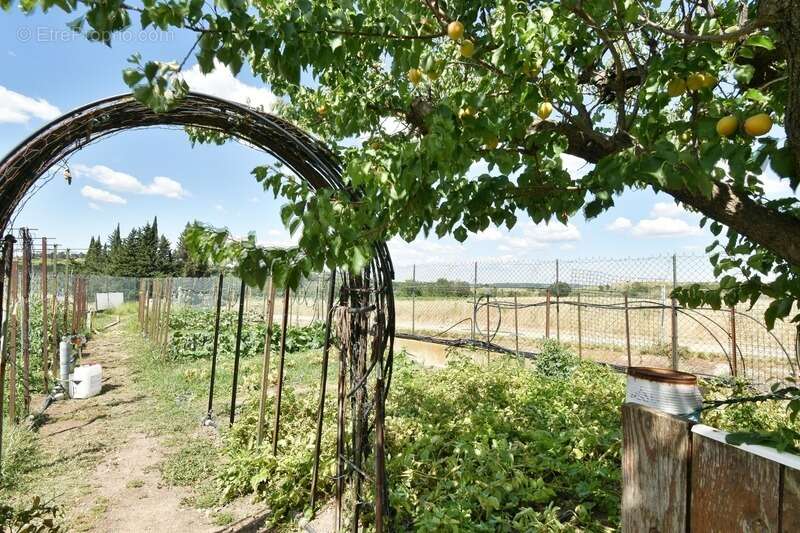 Maison à vendre 5 pièces MAUREILHAN (34) - photo 4