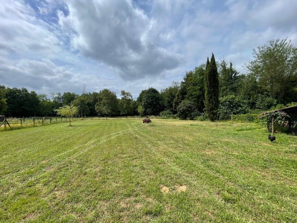 Terrain à SAINT-LAURENT-MEDOC