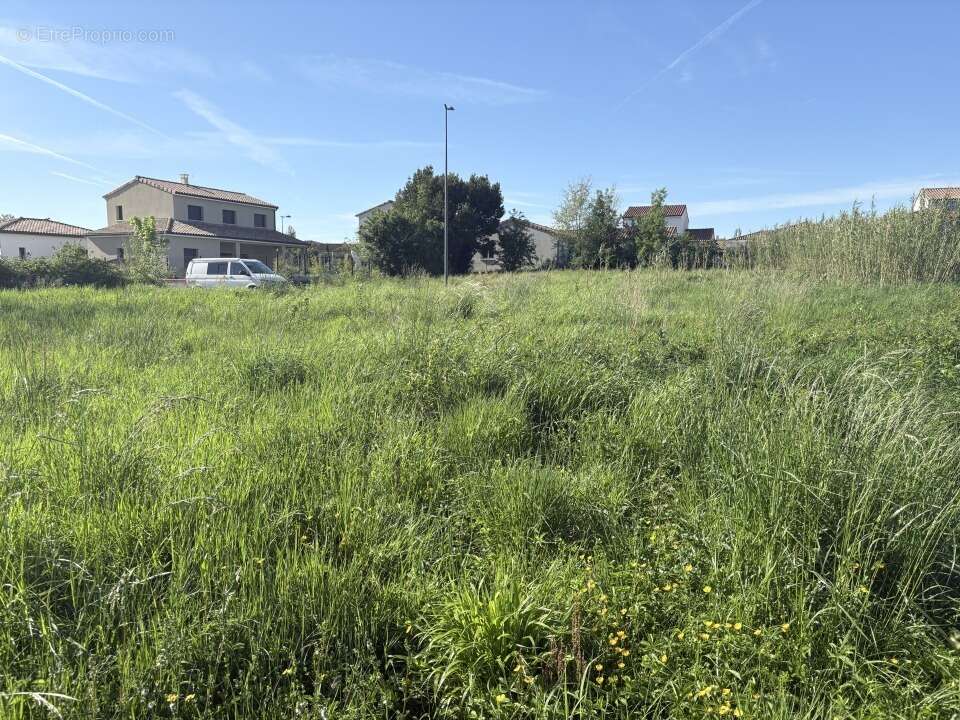 Terrain 390 m² à Gragnague  - photo 3