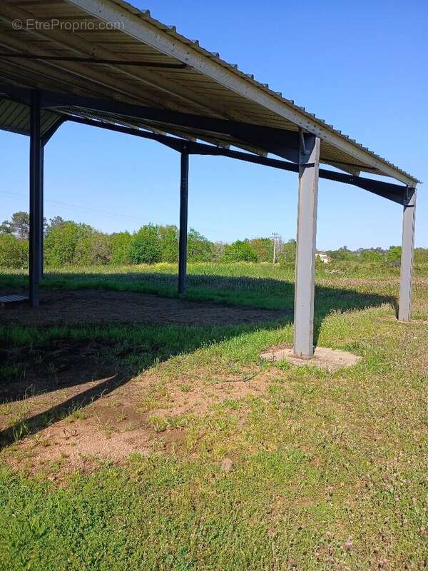 Terrain à SAINT-MARTIN-DE-RIBERAC