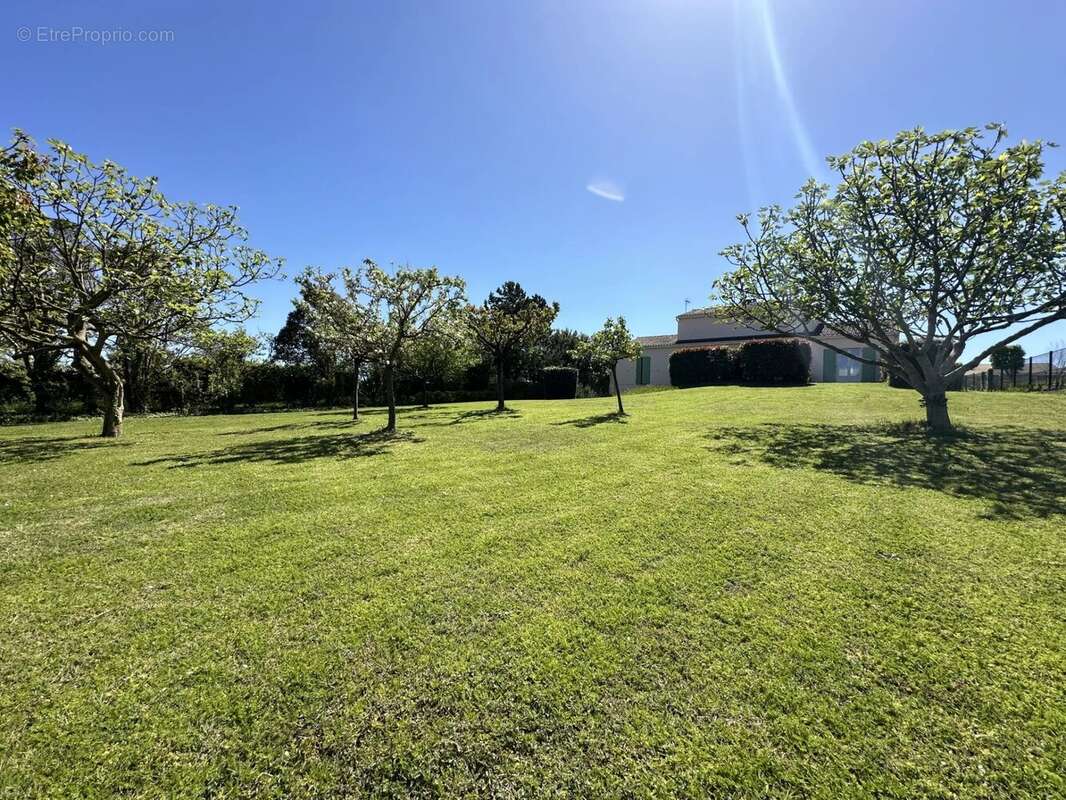 Maison à VAUX-SUR-MER