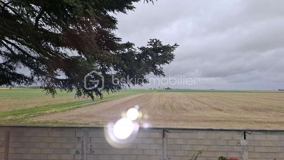 Maison à ASCHERES-LE-MARCHE