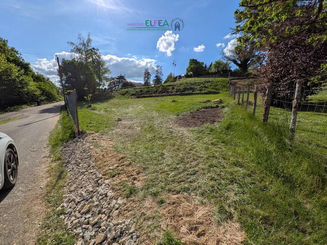 n°1 - Terrain à MOISSIEU-SUR-DOLON