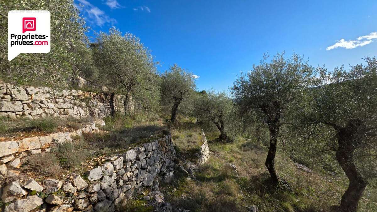 Terrain à SAINT-CEZAIRE-SUR-SIAGNE