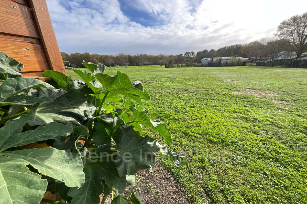 Terrain à GRAYAN-ET-L&#039;HOPITAL