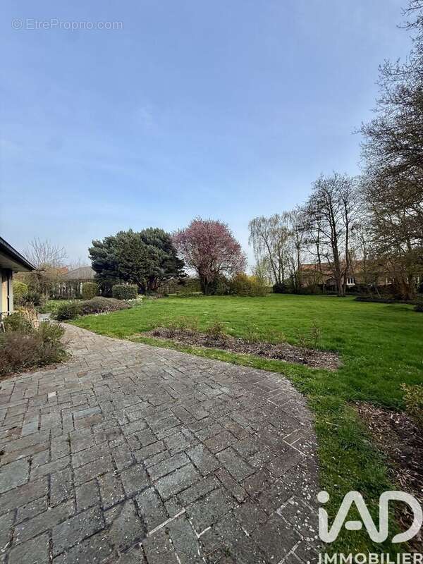 Maison 300 m² à Saint-Floris  - photo 3