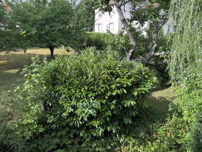 Maison à CHAMALIERES