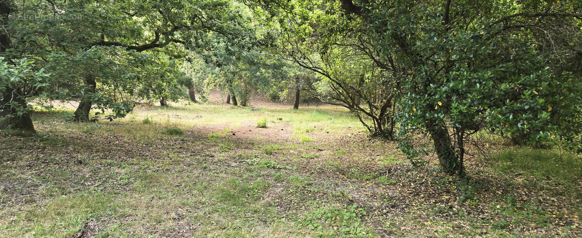 Terrain à ARCACHON
