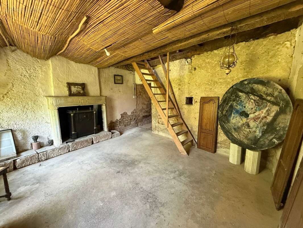 Magnifique manoir original dans un grand village avec toutes les commodités, situé au bord de la Saône - photo 39