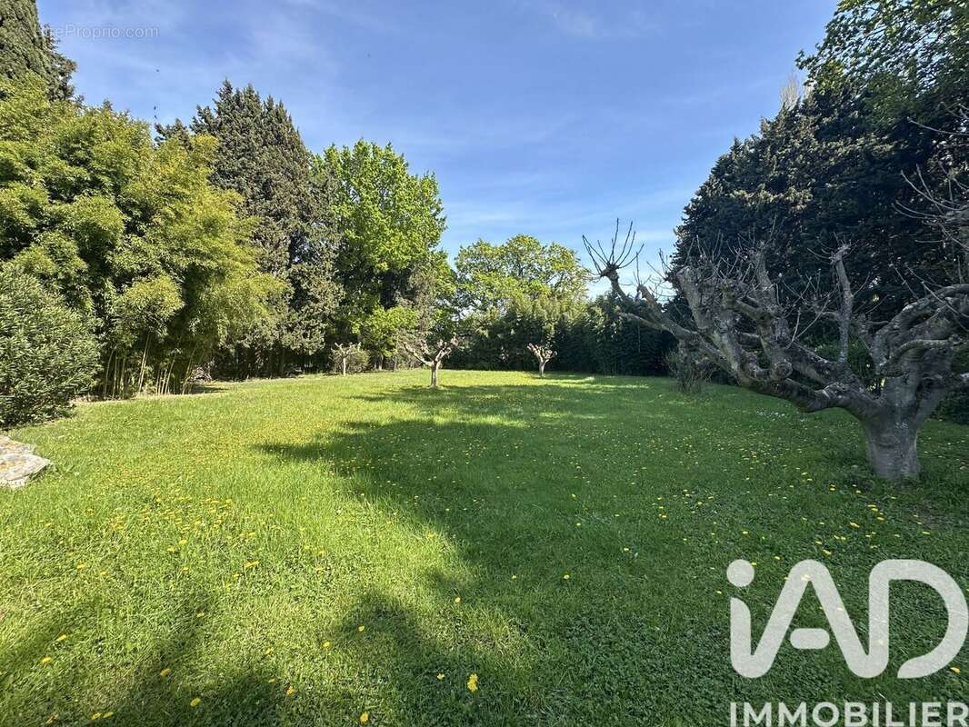 Photo 5 - Maison à MORIERES-LES-AVIGNON