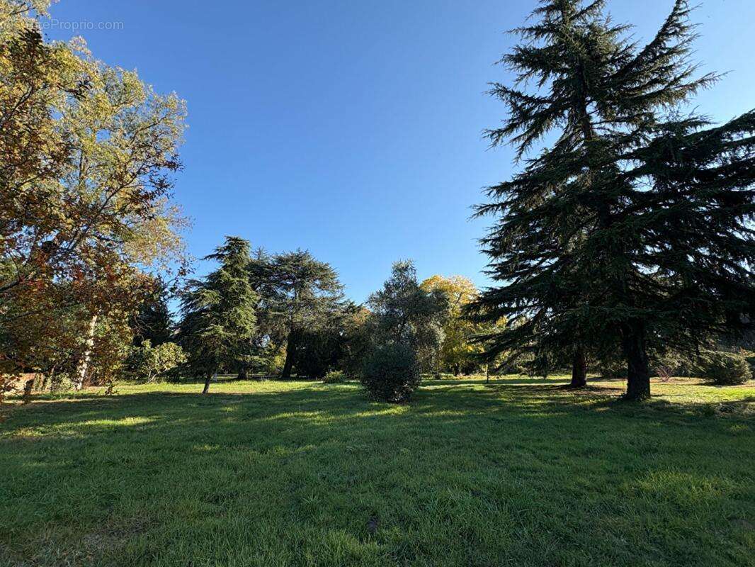 Maison à LAMOTHE-LANDERRON