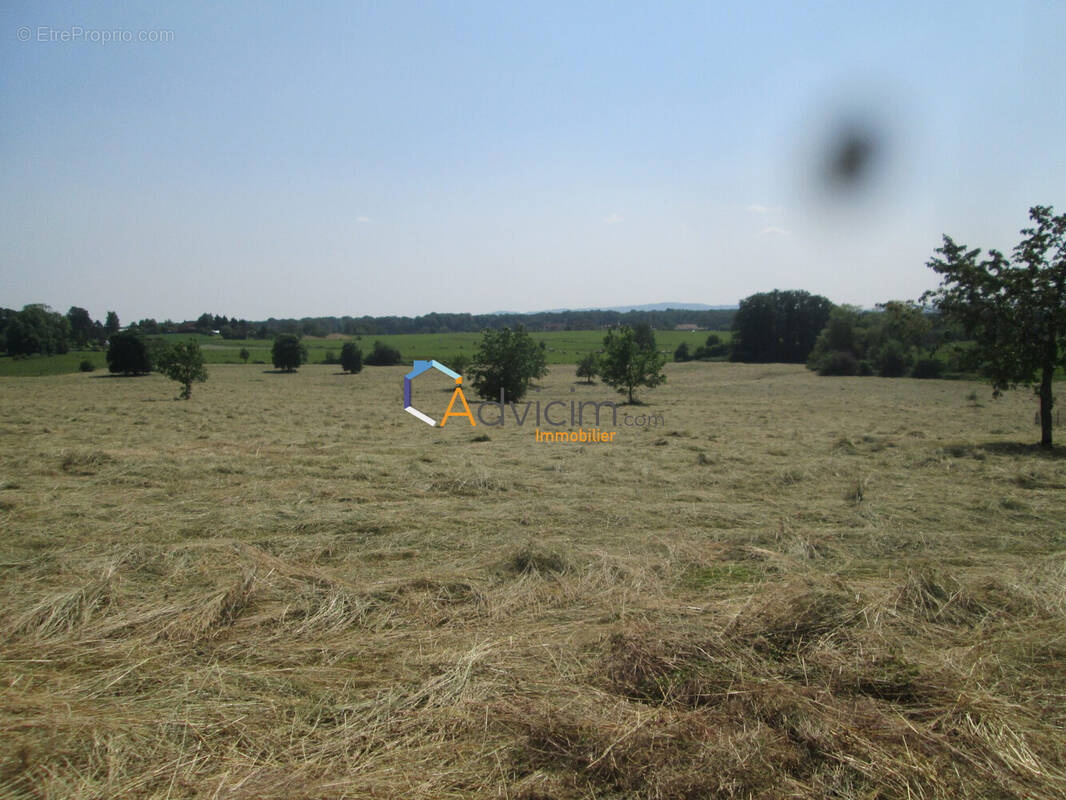 Terrain à LA BRUYERE