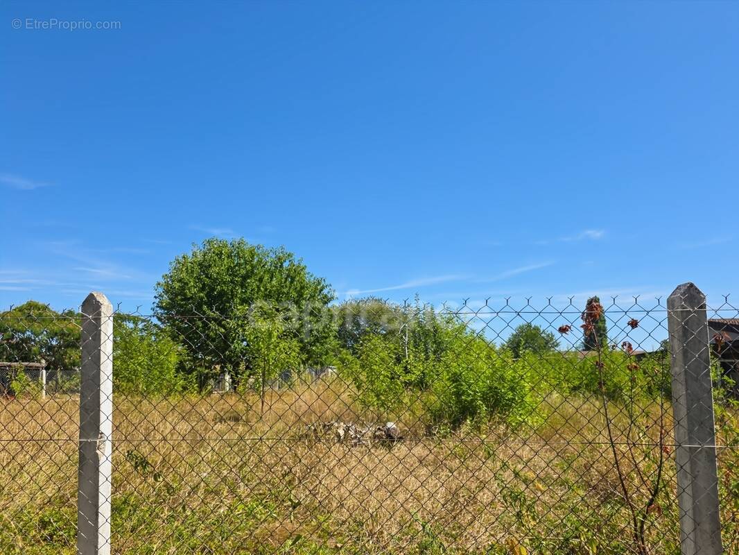 Terrain à SASSENAY