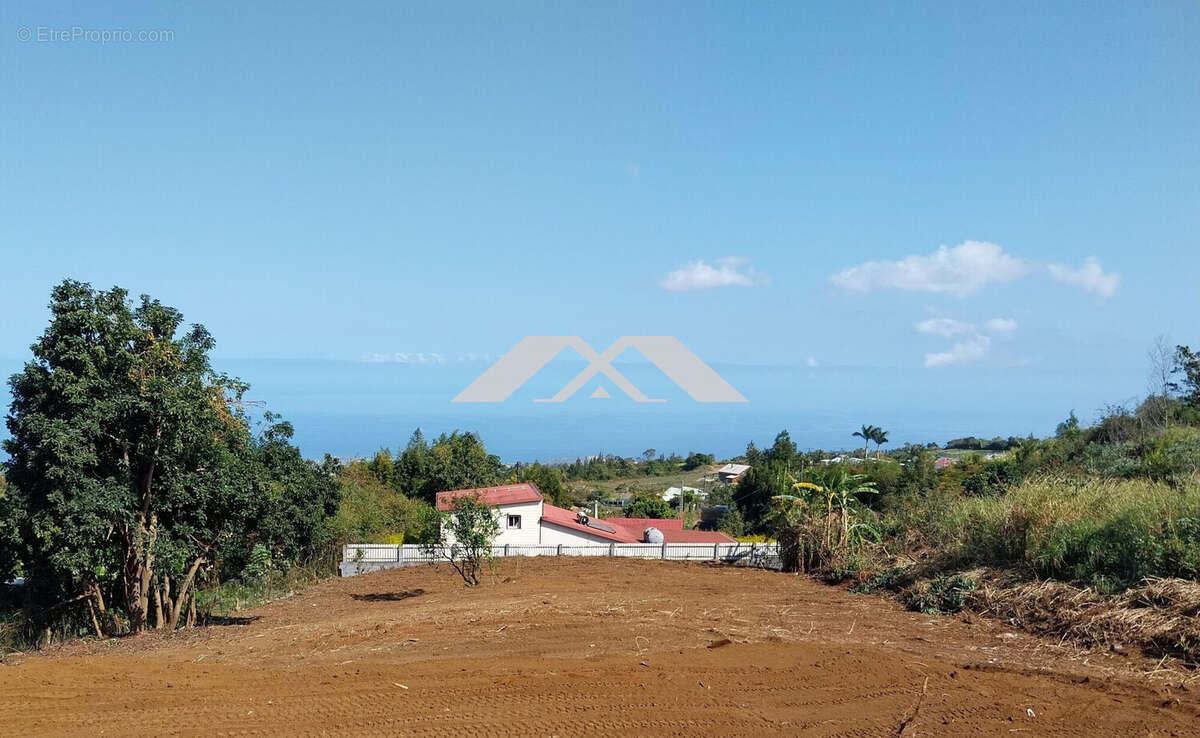 Terrain à SAINT-PAUL