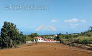 Terrain à SAINT-PAUL