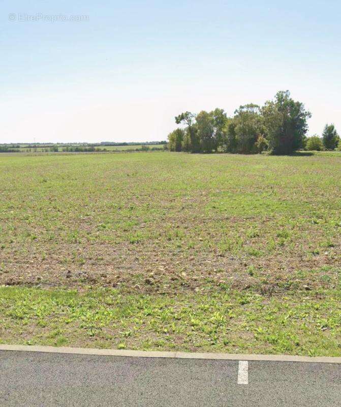 Terrain à SAINT-ROGATIEN