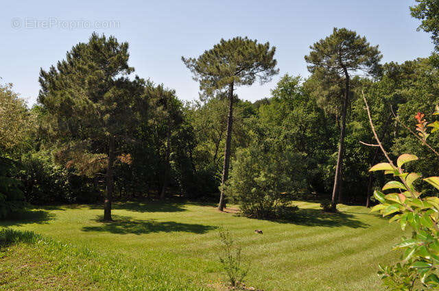 Maison à SAINTE-COLOMBE-EN-BRUILHOIS