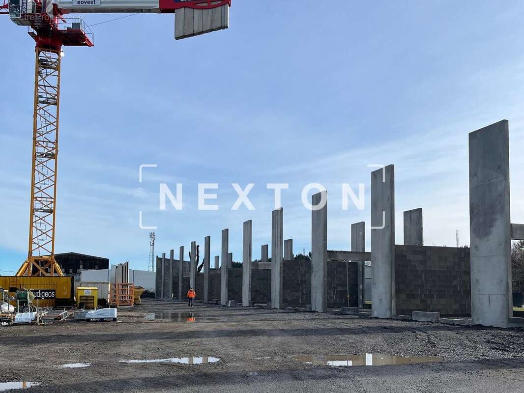 Commerce à SAINT-VINCENT-DE-TYROSSE