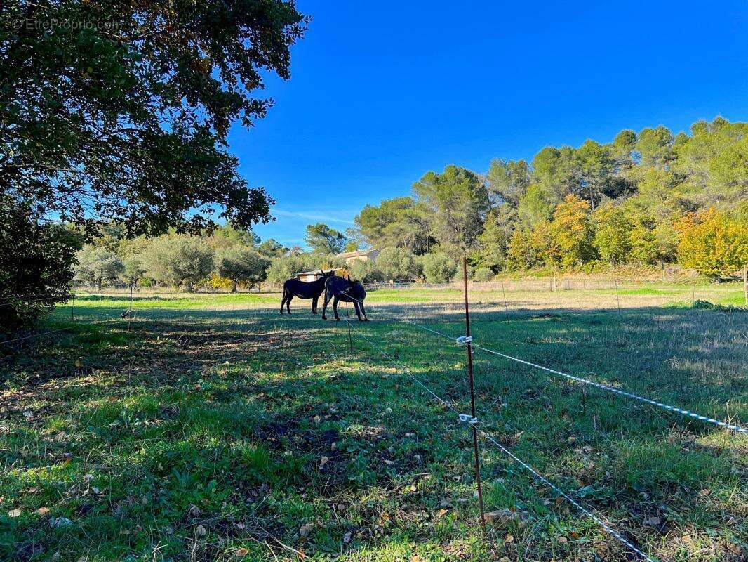 Mas sur magnifique terrain à deux pas de Uzès - photo 9
