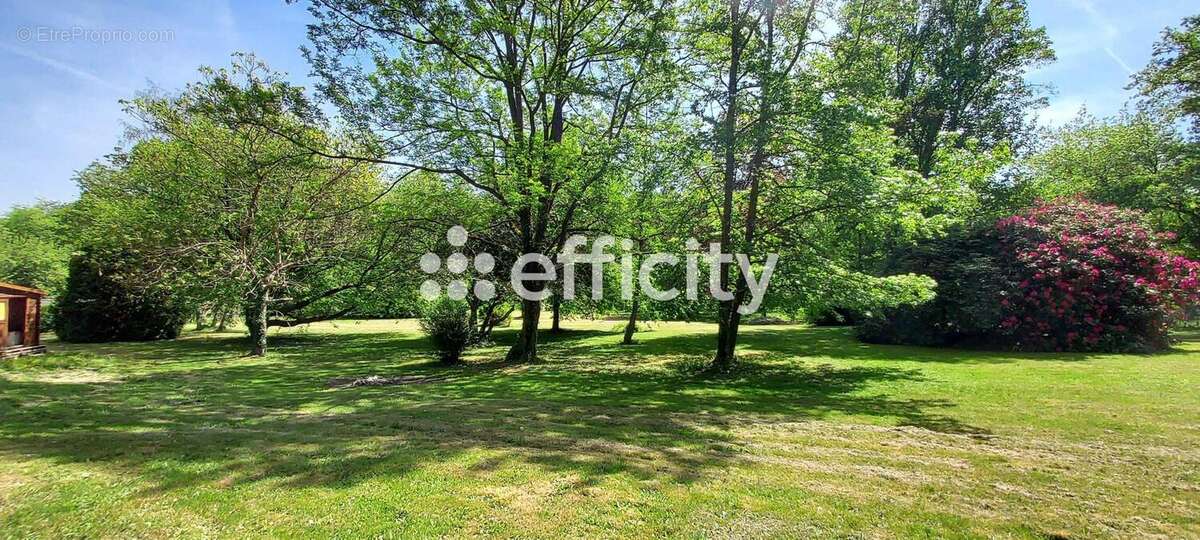 Maison 37 m² à Saint-Priest-Taurion  - photo 11