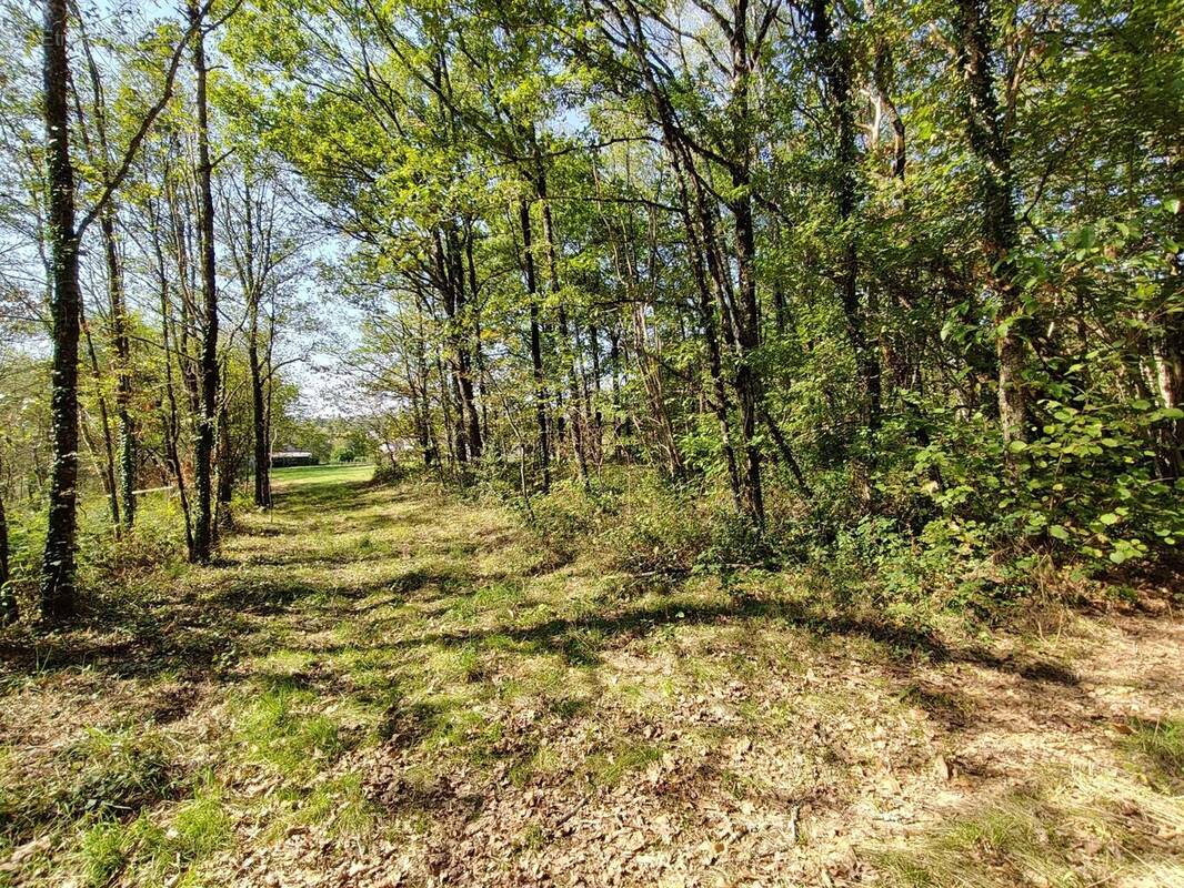Terrain à PIEGUT-PLUVIERS