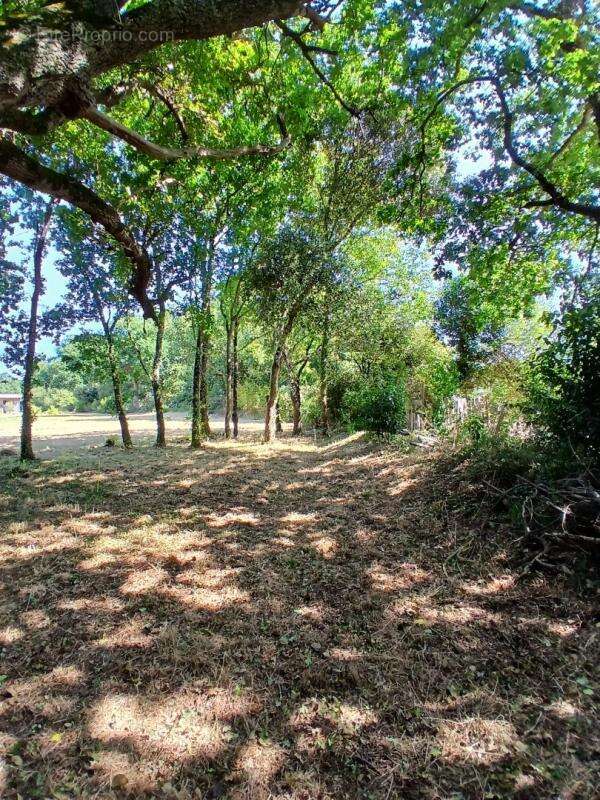Terrain constructible - Accès plage Landrezac - 792 m2 - photo 6