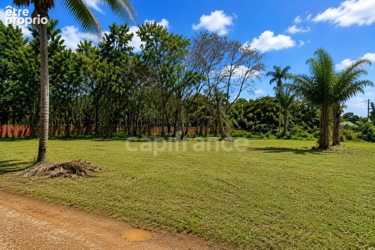 Terrain constructible de 1008 m² à vendre à Sainte Agathe - MACOURIA (973) - photo 6
