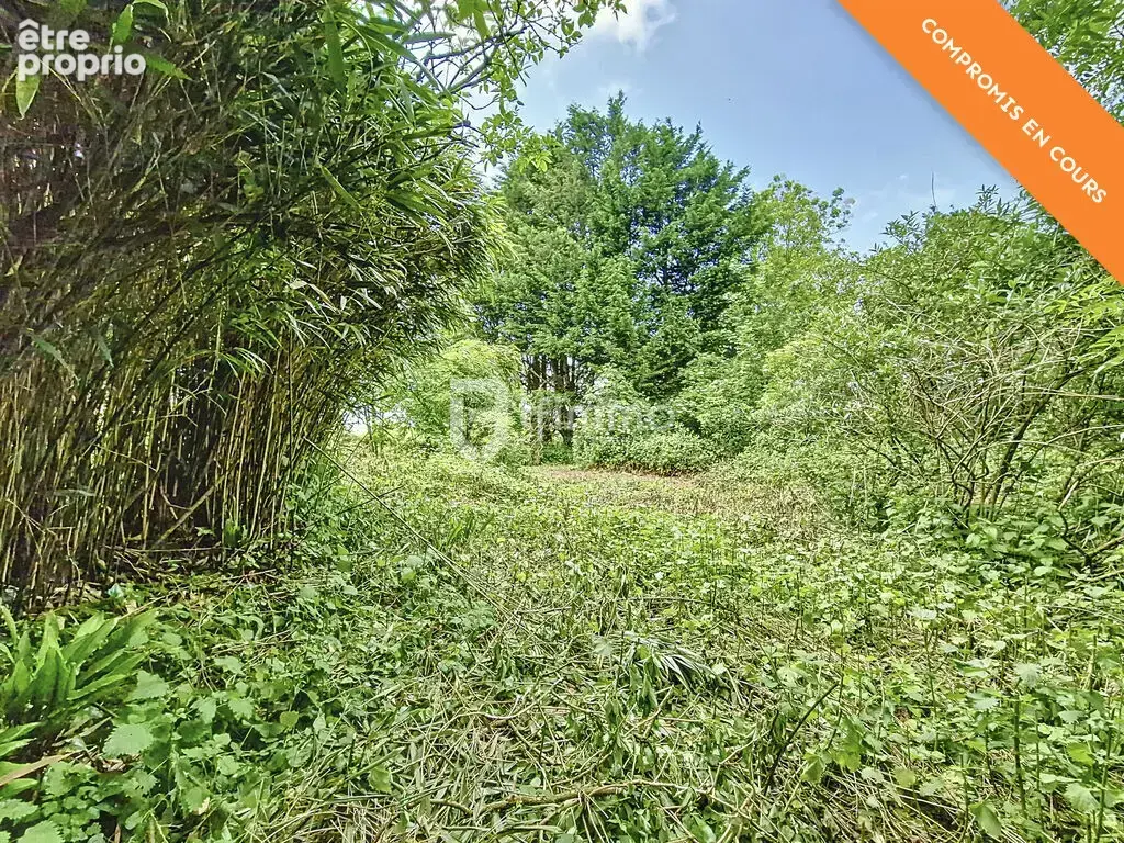 Longère de 3 pièces, 80 m² à Plomodiern 29550 - photo 16