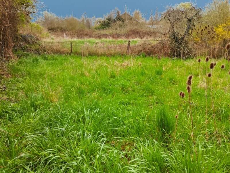 Maison à CHAMPLITTE