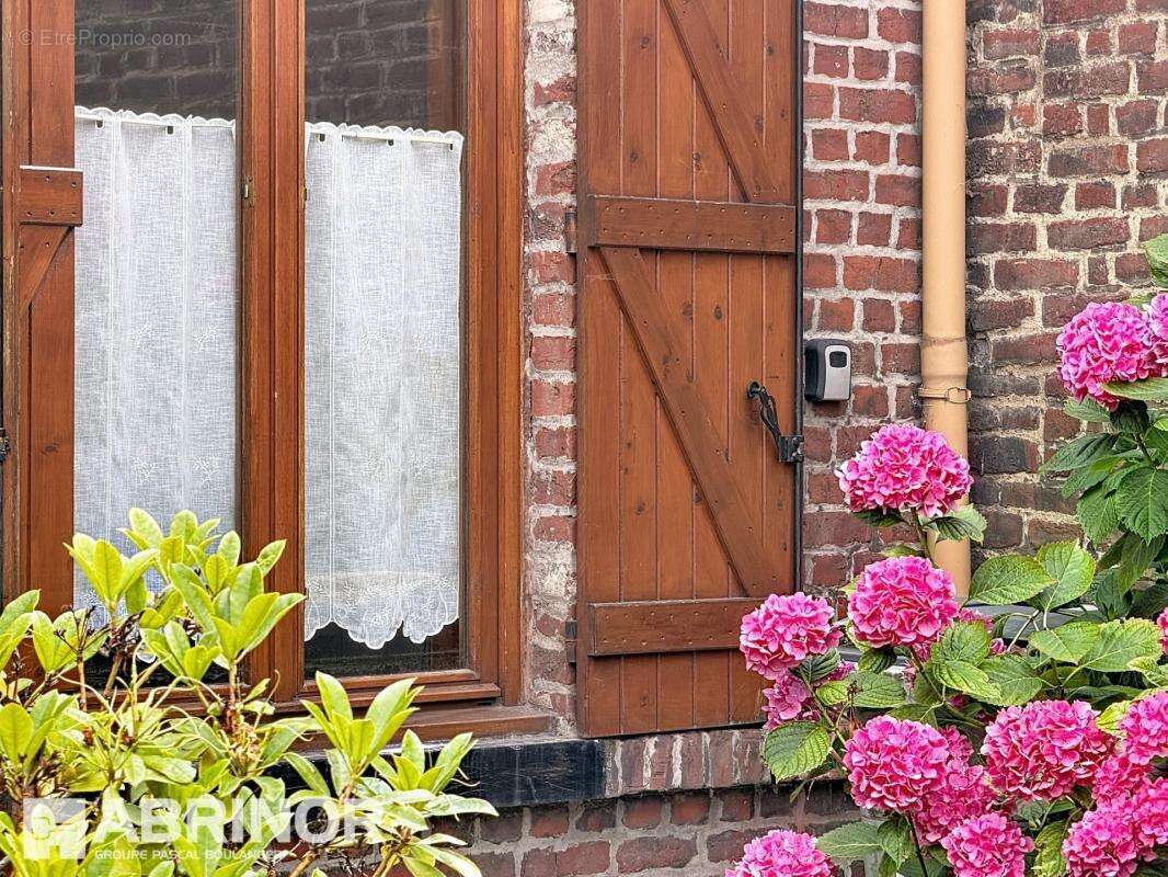 Maison semi flamande 3 chambres jardin - photo 2