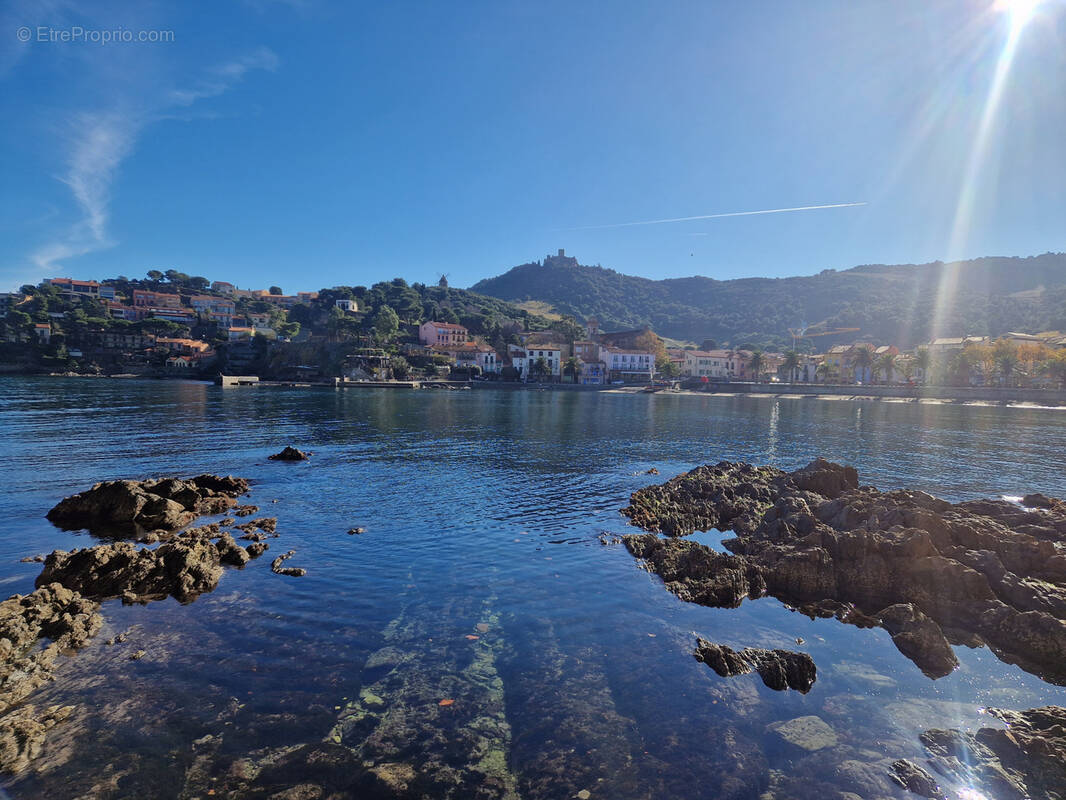 Commerce à COLLIOURE