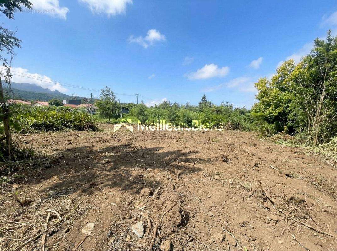 Terrain à SAINT-JOSEPH